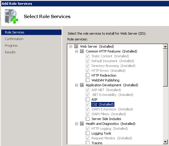 IIS install CGI