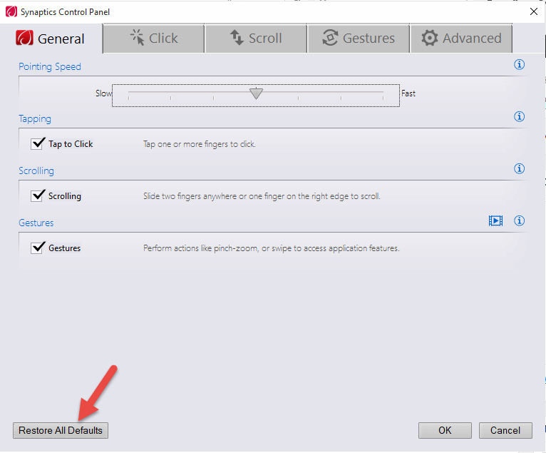 Synaptics Settings