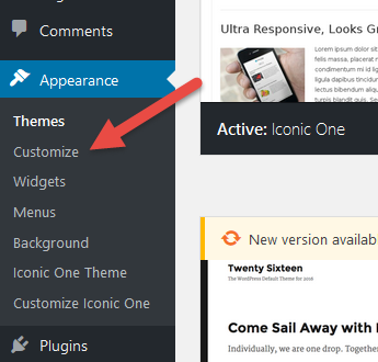 Wordpress Appearance Customize