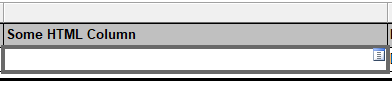 SSRS selected with textbox shown with thick border